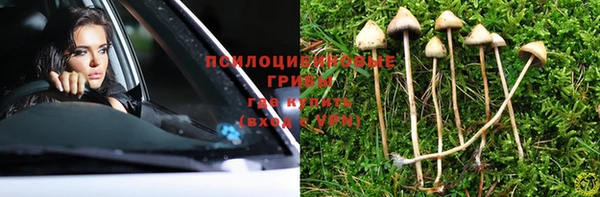 PSILOCYBIN Бежецк