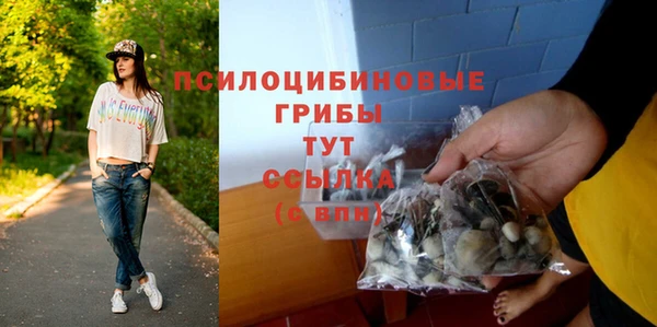 ALPHA PVP Пестово